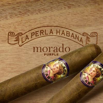 La Perla Habana Morado Toro-www.cigarplace.biz-32