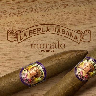 La Perla Habana Morado Belicoso-www.cigarplace.biz-32