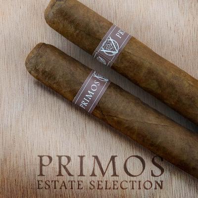 Primos Classic Sumatra Double Corona-www.cigarplace.biz-32