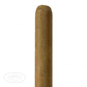 Rocky Patel Vintage 1999 2nds Robusto Single Cigar-www.cigarplace.biz-21