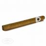 Ashton Classic Panatela Single Cigar Foot