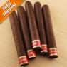 Cain F Habano 550 Robusto Pack of 5 Cigars-www.cigarplace.biz-01