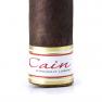 Cain Maduro 654T Torpedo-www.cigarplace.biz-02