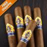 CAO Colombia Bogota Pack of 5 Cigars-www.cigarplace.biz-02