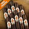 CAO Zocalo Robusto Pack of 10 Cigars-www.cigarplace.biz-02
