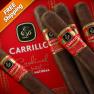 E.P. Carrillo Cardinal Impact Natural 56 Pack of 5 Cigars-www.cigarplace.biz-02