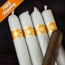 El Rey Del Mundo Robusto Larga Oscuro Pack of 5 Cigars-www.cigarplace.biz-02