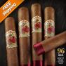 Flor De Las Antillas Toro Pack of 5 Cigars 2012 #1 Cigar of the Year-www.cigarplace.biz-02