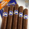 Four Kicks Capa Especial Robusto Pack of 5 Cigars 2020 #20 Cigar of the Year-www.cigarplace.biz-01