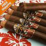 Island Jim San Andres #2 Torpedo Pack of 5 Cigars-www.cigarplace.biz-02