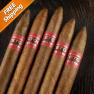 Kristoff Sumatra Torpedo Pack of 5 Cigars-www.cigarplace.biz-01