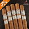Montecristo Platinum Toro Pack of 5 Cigars-www.cigarplace.biz-03
