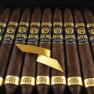 Plasencia Alma Fuerte Generacion V 2017 #9 Cigar of the Year-www.cigarplace.biz-03
