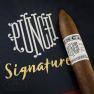 Punch Signature Torpedo-www.cigarplace.biz-02