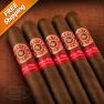 Rocky Patel Quarter Century Robusto Pack of 5 Cigars-www.cigarplace.biz-01