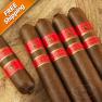 Rocky Patel Sun Grown Sixty Pack of 5 Cigars-www.cigarplace.biz-02