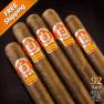 Saint Luis Rey Carenas Toro Pack of 5 Cigars 2021 #19 Cigar of the Year-www.cigarplace.biz-02